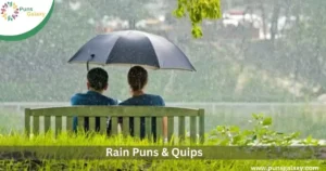 Rain puns and quips