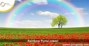 rainbow punsjokes