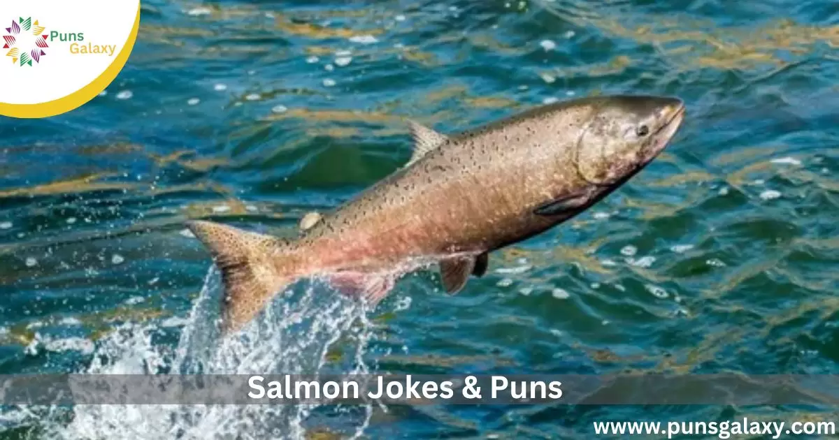 Salmon Jokes & Puns