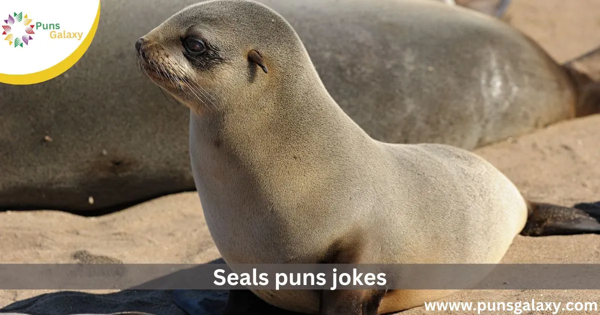 Seals puns jokes