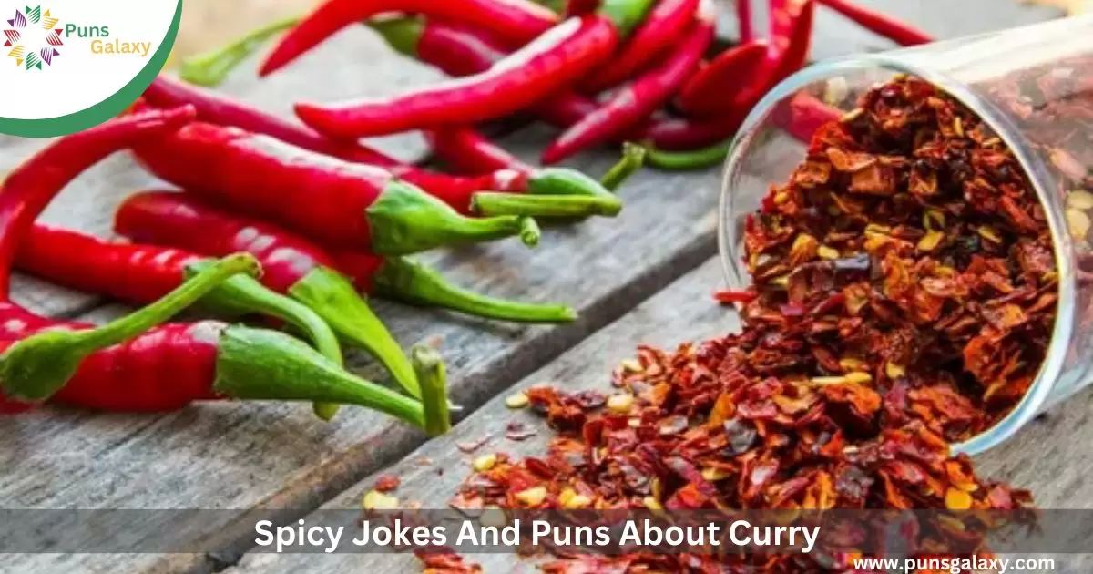 Spicy Jokes And Puns About Curry