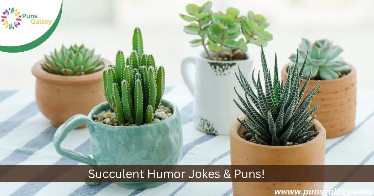 Succulent Humor Jokes & Puns