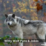 Witty Wolf Puns & Jokes:Get Your Howl On