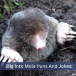 Dig Into Mole Puns And Jokes