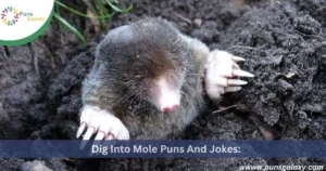 Dig Into Mole Puns And Jokes