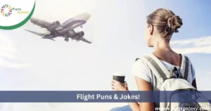 Flight Puns & Jokes!