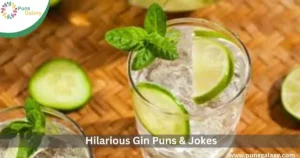 Hilarious Gin Puns & Jokes